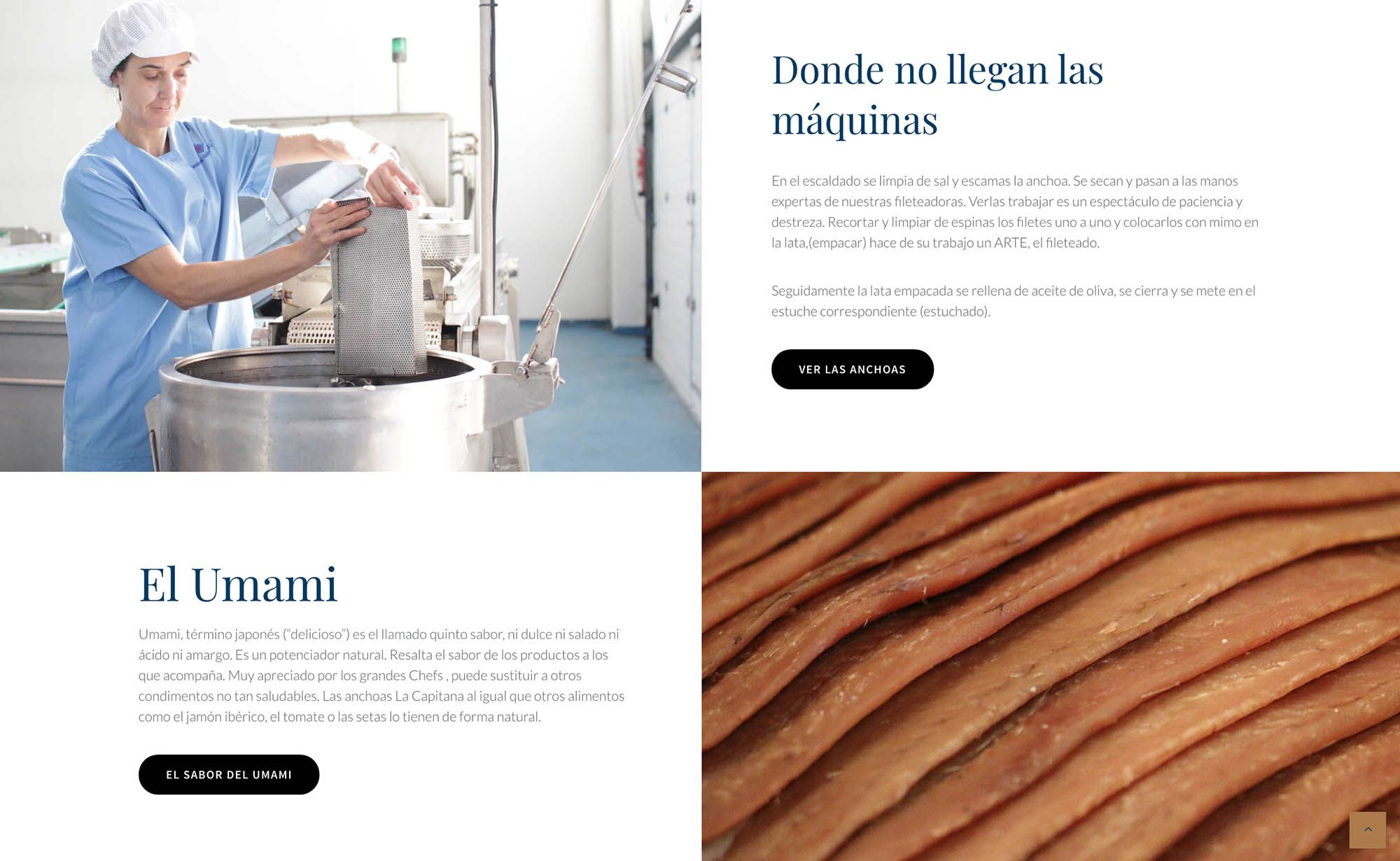 diseño de marca, imagen corporativa y branding para empresas de Cantábria y Bizkaia