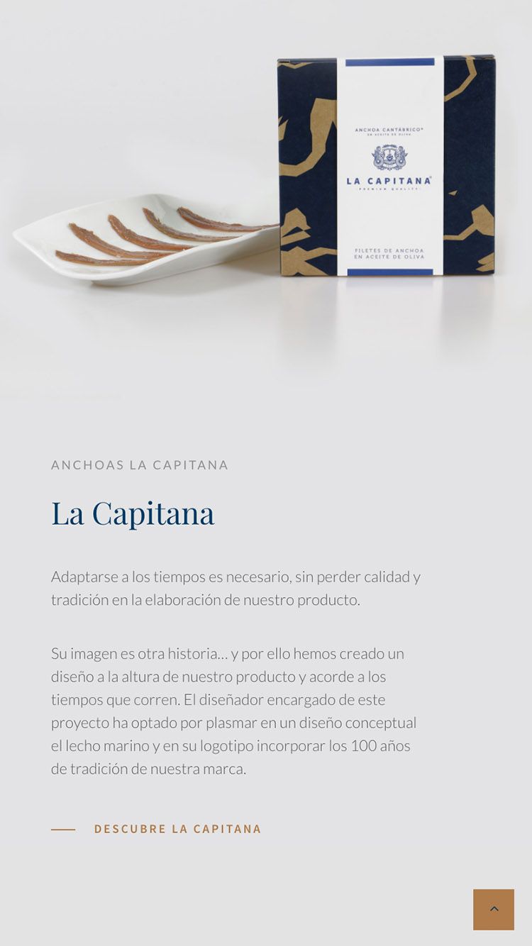diseño de tienda online ecommerce en movil & Smartphone para empresas y marcas