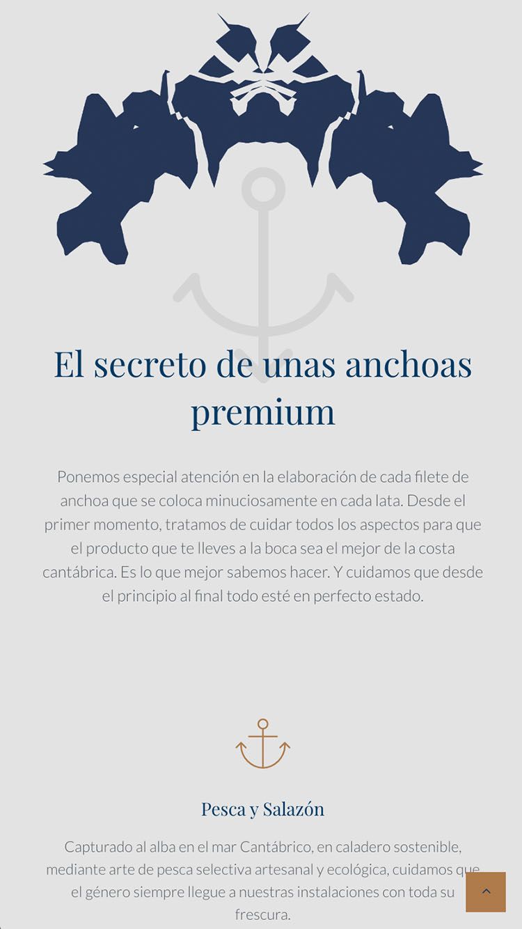 diseño de tienda online en movil & Smartphone para empresas y marcas