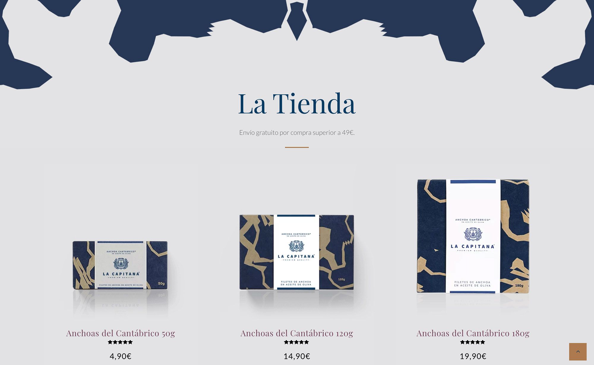 diseño de tienda online ecommerce para empresas y marcas