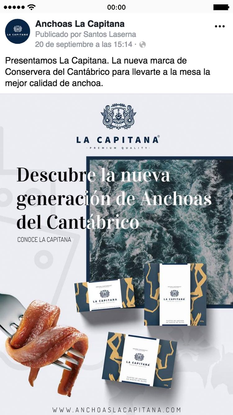 Gestión de redes para negocios y marcas en facebook instagram youtube