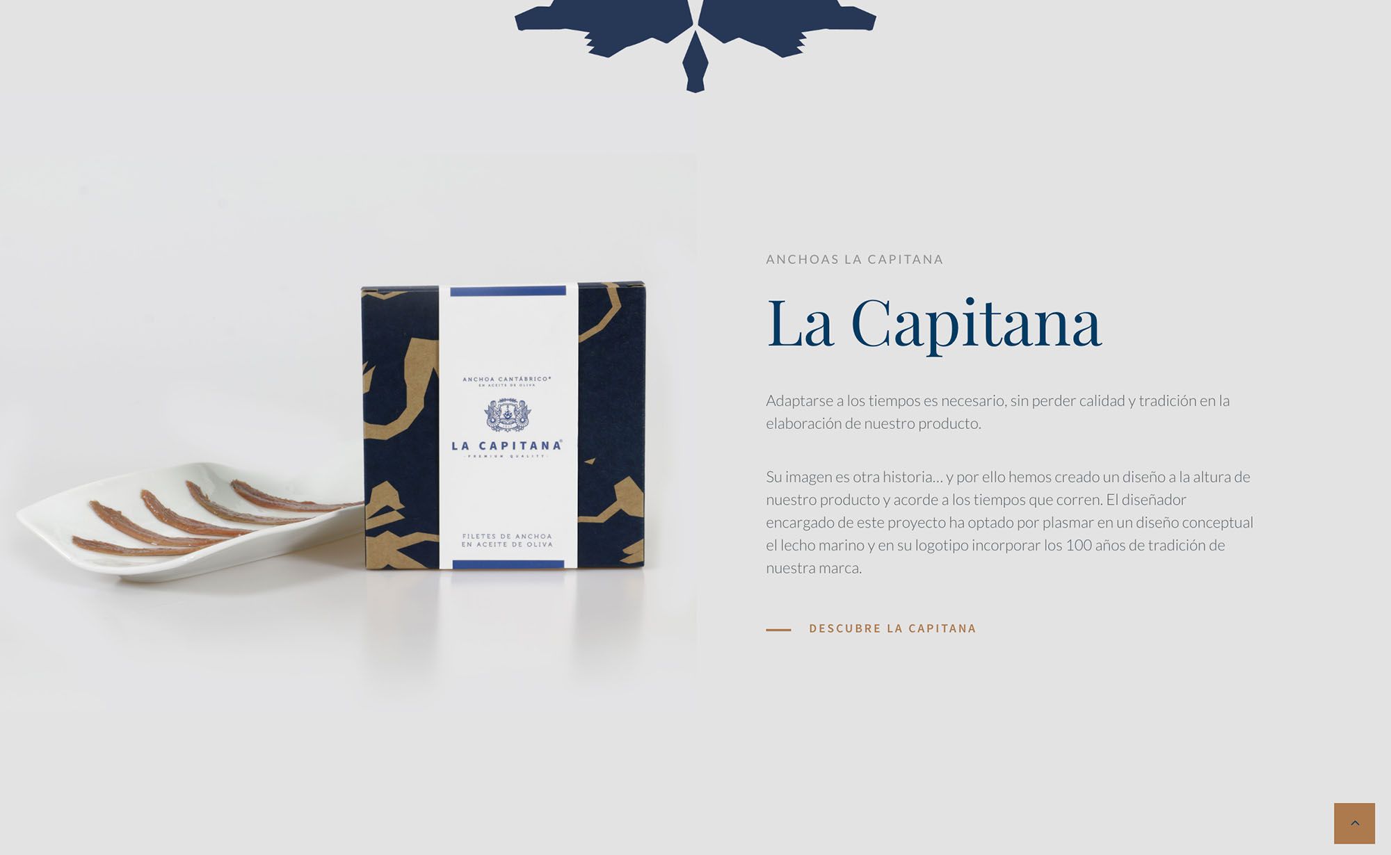 diseño de tienda online ecommerce en movil & Smartphone para empresas y marcas