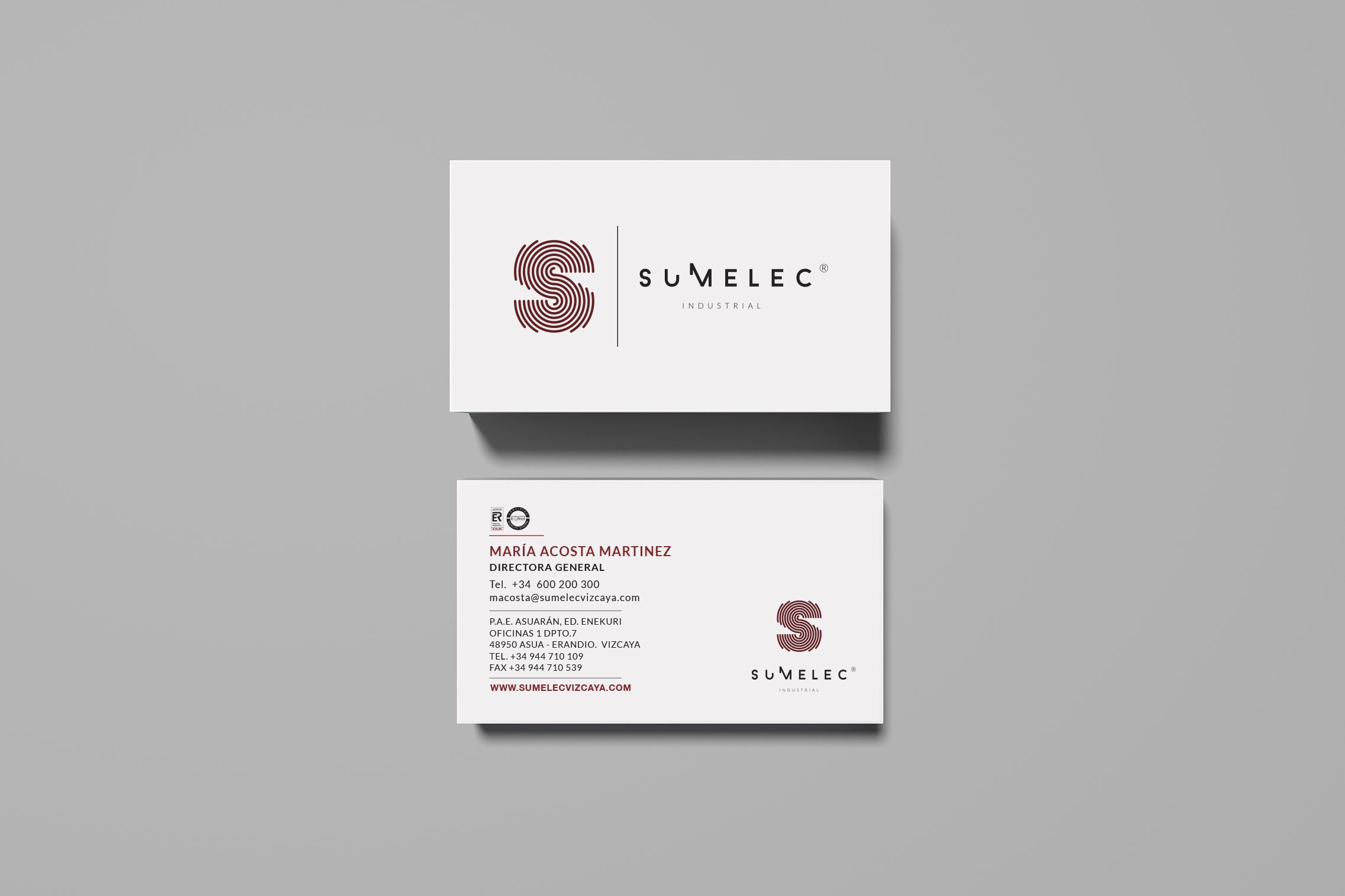diseño de tarjetas de visita para negocios y empresas en cantábria y bizkaia