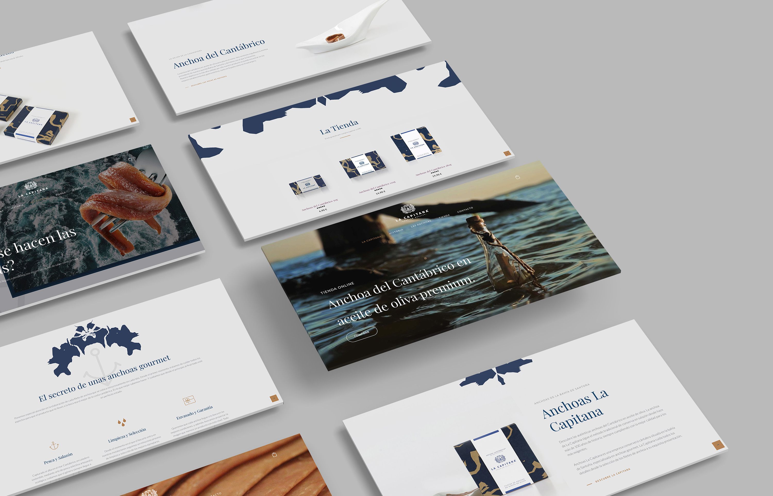 diseño tienda online conservera
