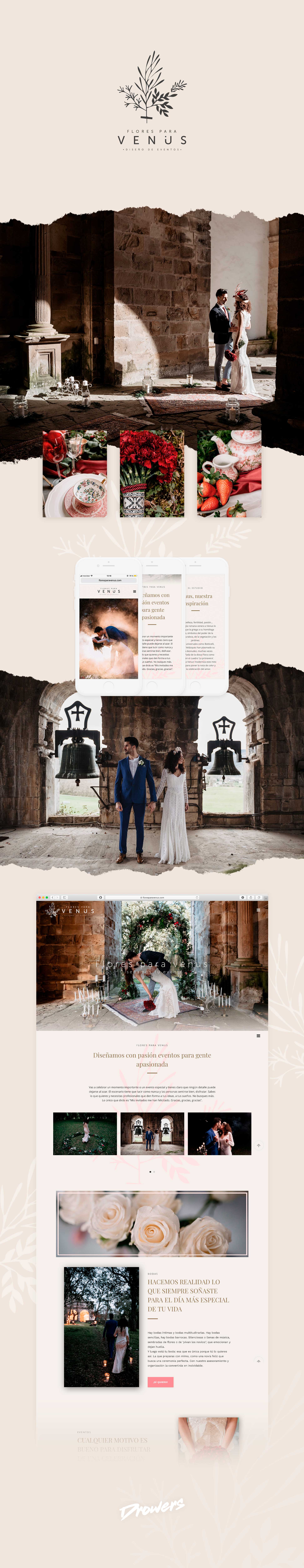pagina web diseño profesional