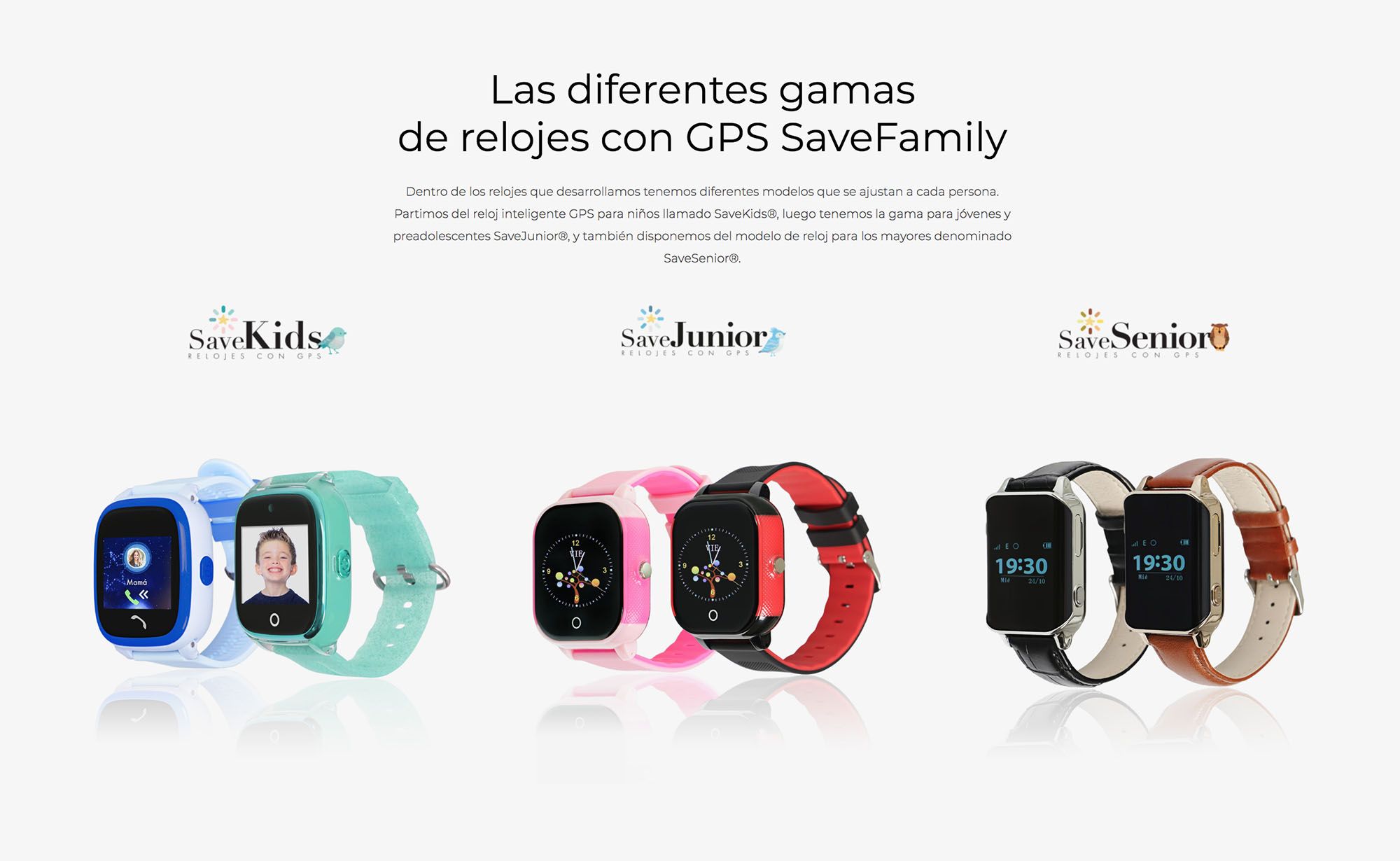 tienda online profesional