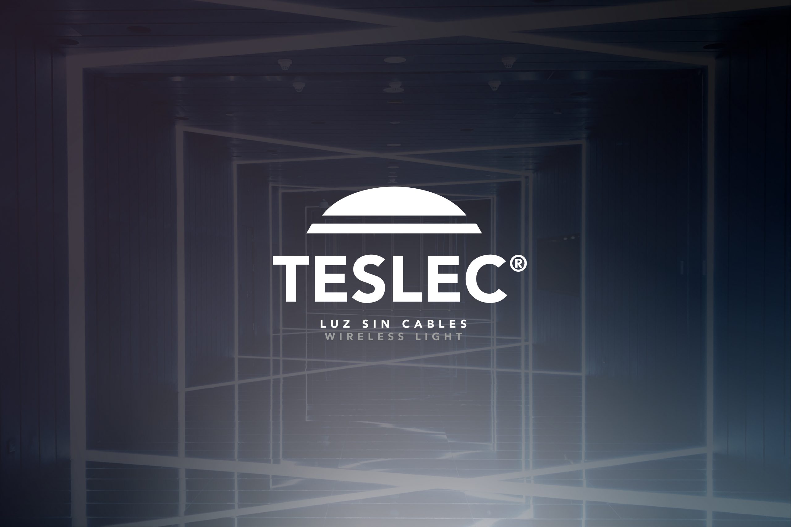 web corporativa teslec